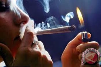 Polda: ganja mulai marak di kalangan pelajar Papua 