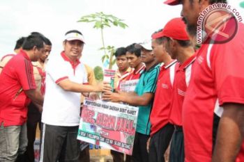 BIBIT KARET UNTUK HARI MENANAM POHON INDONESIA