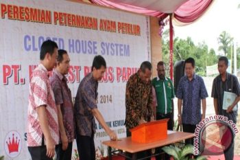 Wali Kota Jayapura resmikan pengoperasian pabrik telur ayam
