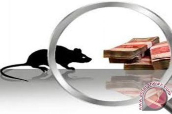 Empat tersangka korupsi di Mimika digelandang ke Jayapura
