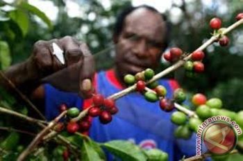 Pemprov Papua raih penghargaan pengentasan kemiskinan terbaik