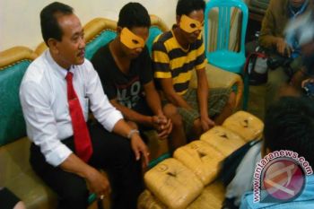 Polda NTB Sita Empat Kilogram Ganja