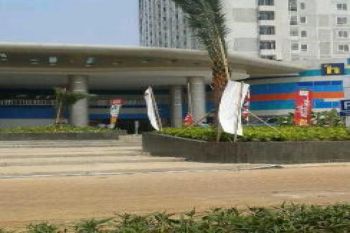 Taman Kota Jakarta Bertambah 40 Hektare