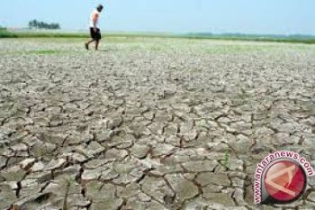 Sembilan Kabupaten di NTB alami Kekeringan