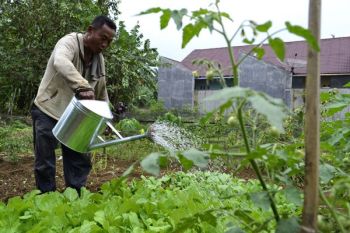 Kampung Organik Magelang Jadi Tempat Studi Lingkungan