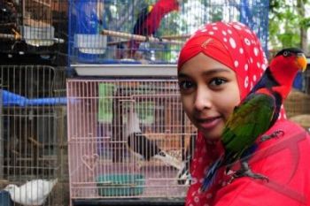 Pemkab Kudus Usulkan Bangun Pasar Burung Rp2 Miliar
