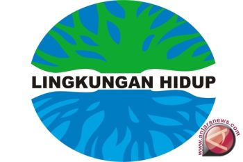 Kepala BLH: Kabut Asap Tiupan Dari Palembang