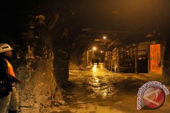 Tujuh Suku Berdemo, Operasional Freeport Terhenti