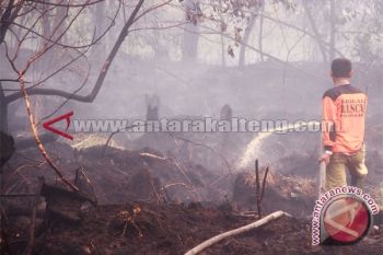 WWF: Kebakaran Hutan dan Lahan Indikasi Tata Kelola Masih Lemah
