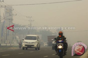 Komisi Informasi : Pemerintah Wajib Umumkan Kualitas Udara