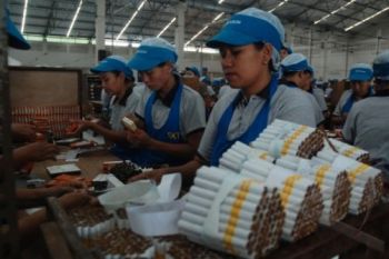 Uji Tar Rokok Gratis bagi Pengusaha Golongan Kecil