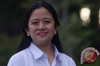 Harta Puan Maharani Capai Lebih Rp34,1 Miliar