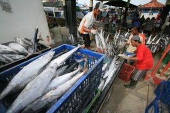 Investor Saham Minati Sektor Perhubungan dan Perikanan