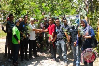 PUPUK Latih Petani Sulteng Budidayakan Rotan