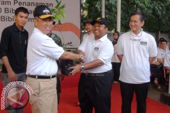 South Sulawesi Reforestation Figure Dies