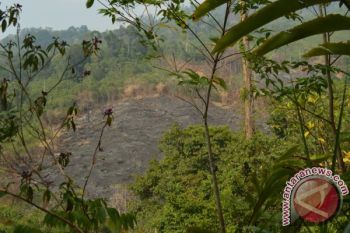 SUKU BUKIT BUKA LAHAN