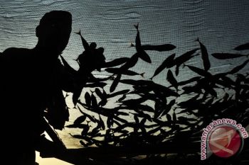 IKAN KERING