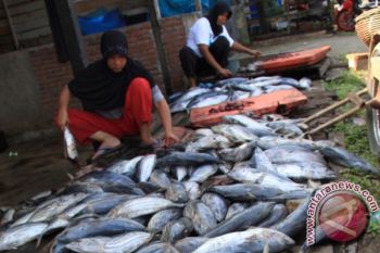 Komoditi Ikan Kayu