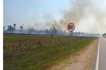 Terbakar, 300 hektare savana TN - Rawa Aopa Watumohai