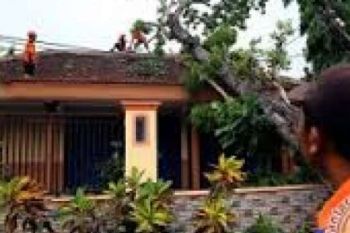  85 Pendaki Hilang Akibat Badai Salju Nepal