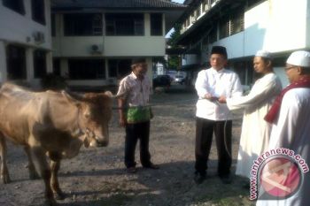  Pemkot Pekanbaru Sembelih 15 Hewan Kurban