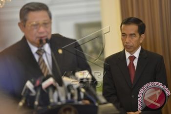Tokoh pemuda Mimika apresiasi terbitnya Perppu Pilkada