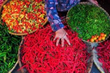 Cabai Merah Picu Inflasi Jateng 