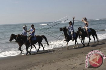 Bisnis Wisata Berkuda