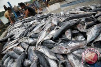 Pembeli Keluhkan Kenaikan Harga Ikan 