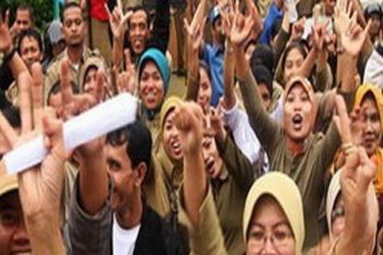BKD Papua akan tindak tegas honorer ilegal