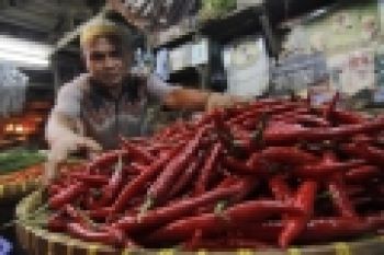 Pasokan Turun, Cabe di Solok Selatan Rp80 Ribu/Kg