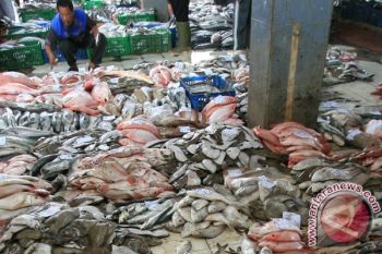 Pasokan Melimpah, Harga Ikan di  TPI Pekalongan Masih Stabil
