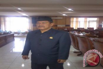 DPD Golkar dukung Johan Anuar calon bupati