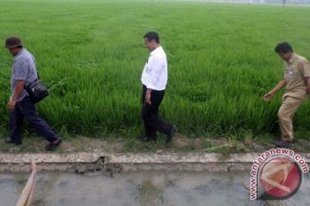 Pantau Irigasi di Pekalongan, Mentan Pilih Naik Motor