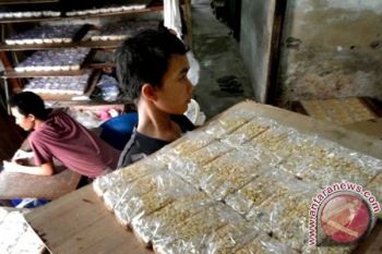 Makanan Bergizi Tak Harus Mahal 