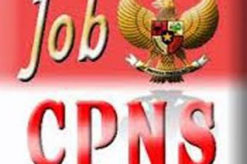 13 THL-TBPP Solok Selatan Lulus CPNS