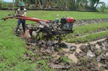 Pengolahan Lahan Padi