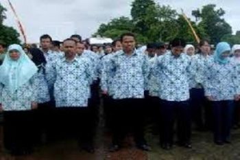 Tenaga honorer Biak Numfor disebar ke 19 distrik