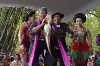 Joget Lele Sura