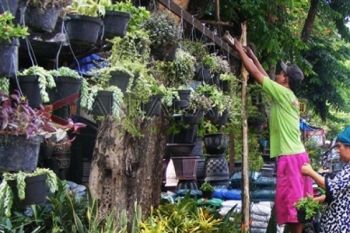 Pasar Bunga Kayoon