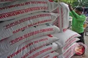 Distributor Pupuk Bersubsidi dari Demak Jadi Tersangka