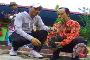  Penghijauan Di Sekolah