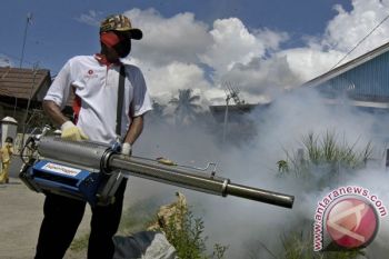 Ratusan Warga Magelang Diduga Terserang Chikungunya