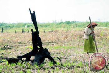 Barito Utara Sosialisasikan Pembebasan Lahan Pembangunan Kelistrikan 