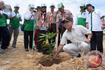 Pemkab Muba galakkan kegiatan menanam pohon 