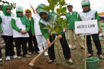 Gerakan Menanam 1 Miliar Pohon