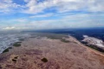 Lima konsorsium pengusaha Tiongkok investasi di Mimika