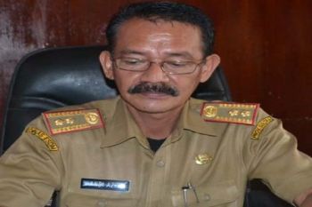 Sultra Devisit Daya Listrik 24-25 MW