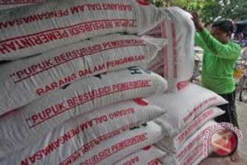 Petani Kesulitan Dapatkan Pupuk Bersubsidi