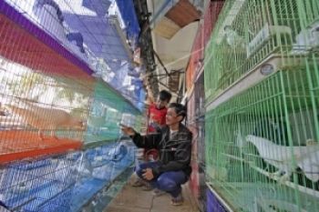 Baru Pasar Burung Depok Masuk Standar Nasional